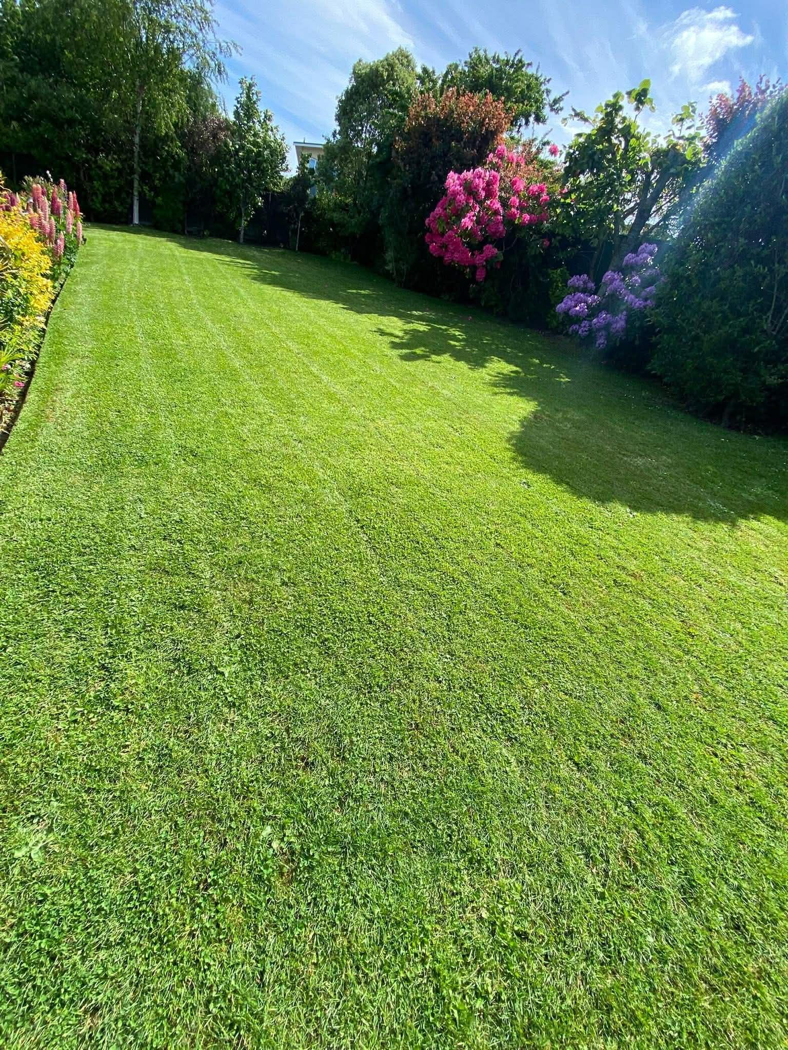 Lawn Mowing and Edges