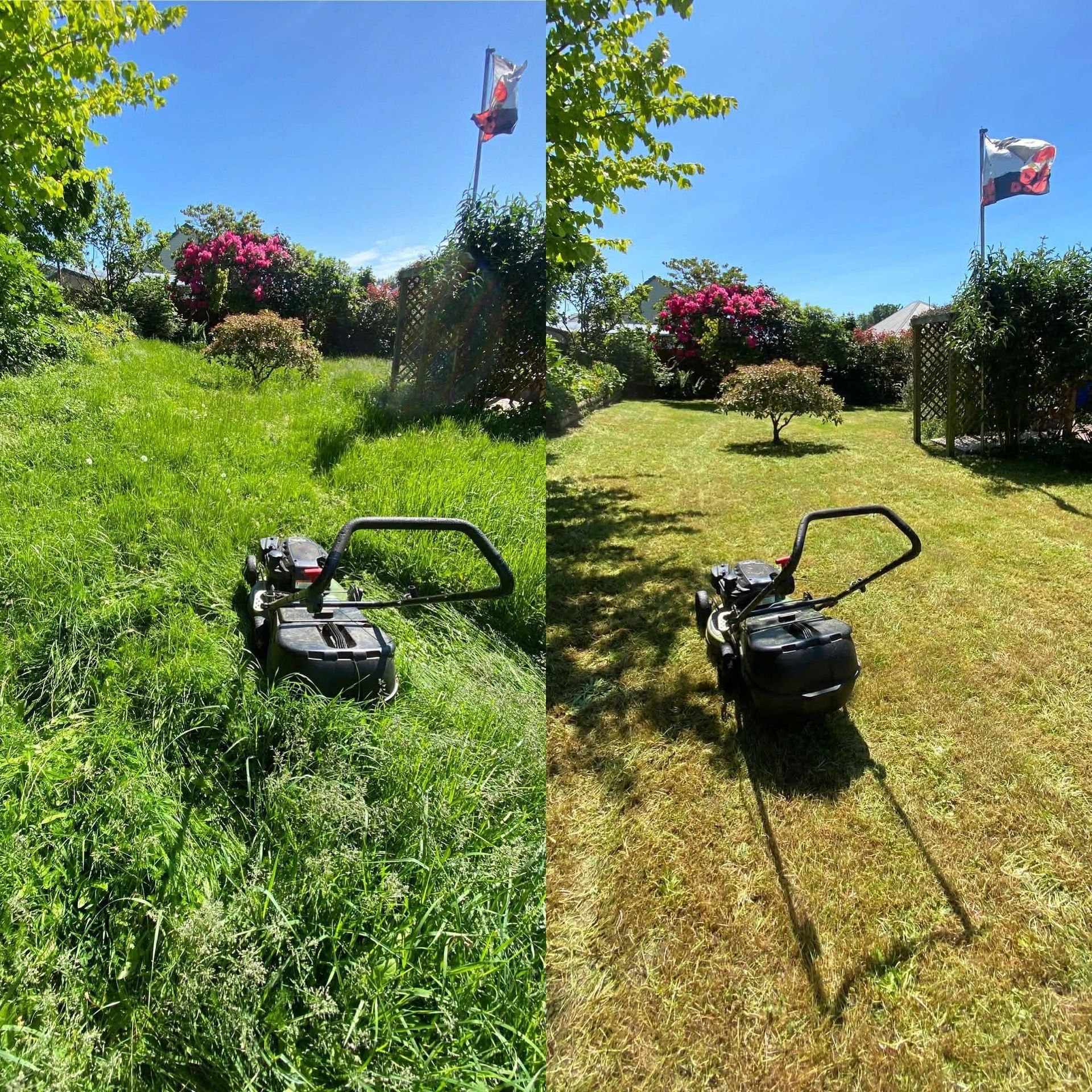 Overgrown Lawns