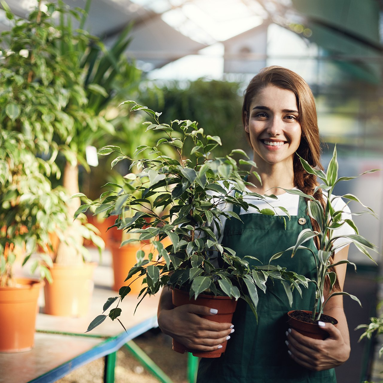 Sandy Loam — Avoca Garden Centre in Bundaberg, QLD Sandy Loam — Avoca Garden Centre in Bundaberg, QLD