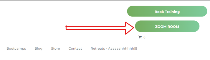 Website header with green “Book Training” and “Zoom Demo” buttons, red arrow pointing to Zoom Demo.