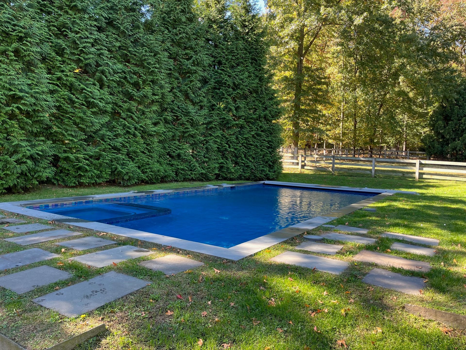A blue rectangular swimming pool in a grassy yard, bordered by stone pavers and a tall hedge, with trees in the background.