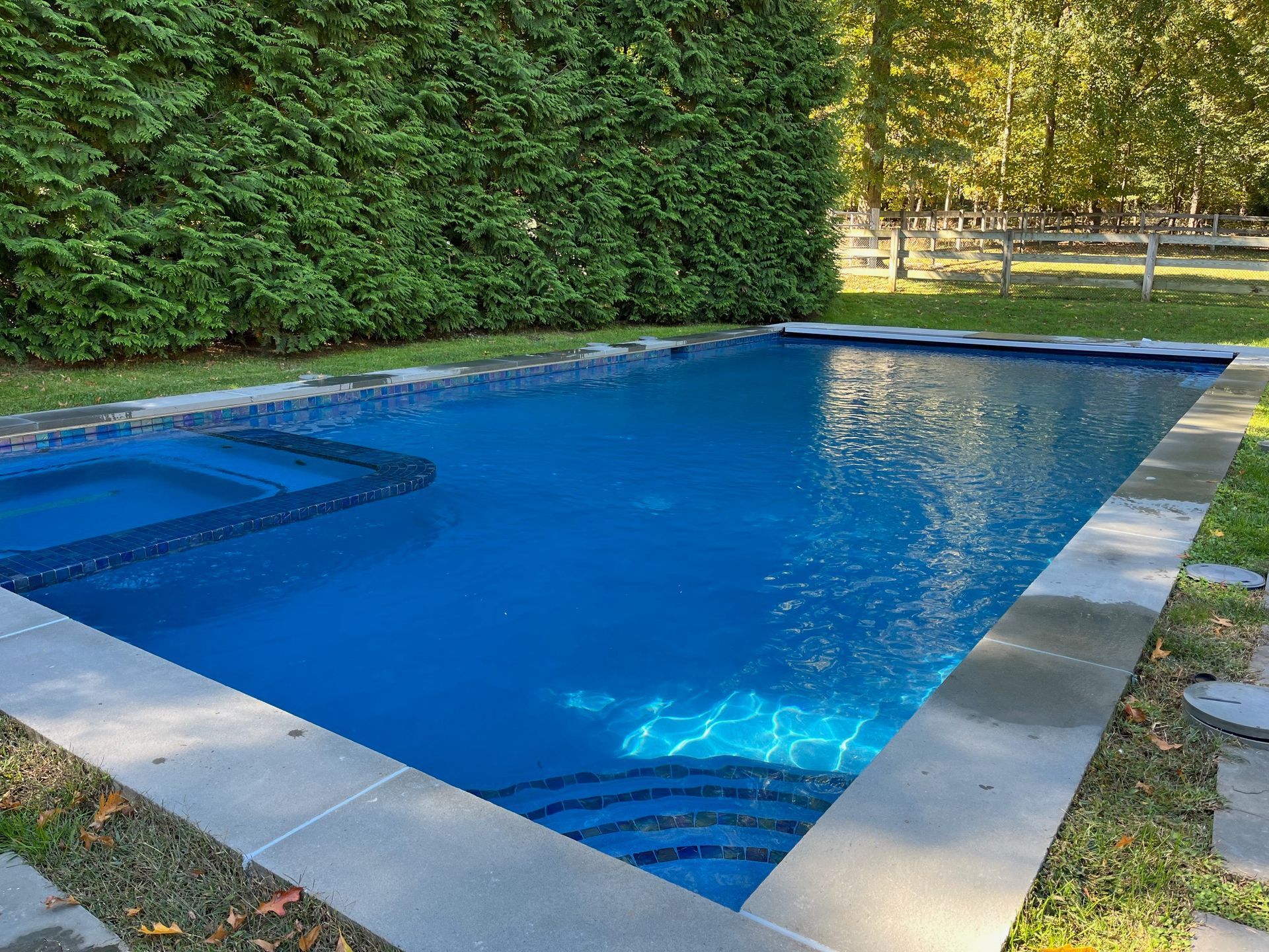 A rectangular blue swimming pool with a built-in spa, bordered by light grey stone coping and a tall green hedge.