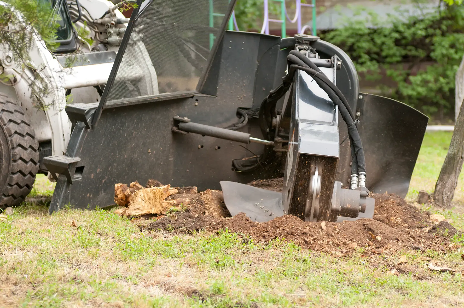 Commercial Tree Services