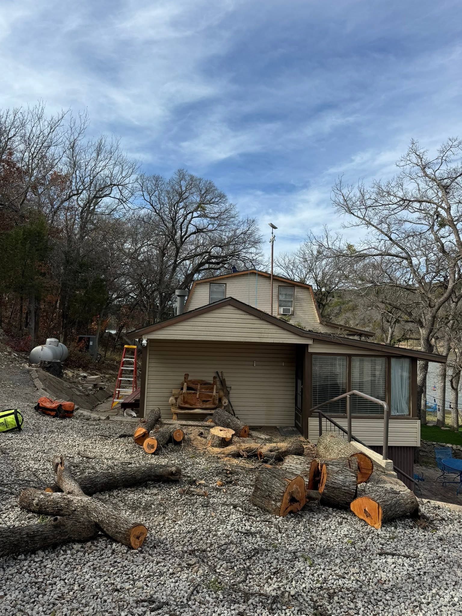 Rundown yard with a small shed, scattered cut logs, gravel, and leafless trees under a cloudy sky