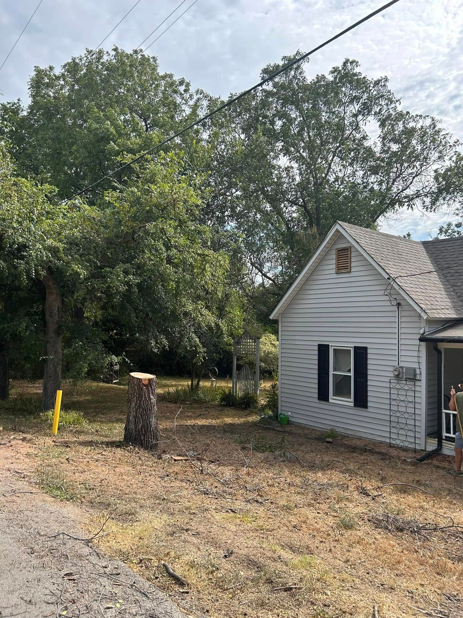 Small white house beside a tree-lined dirt lot with a mailbox and utility pole nearby