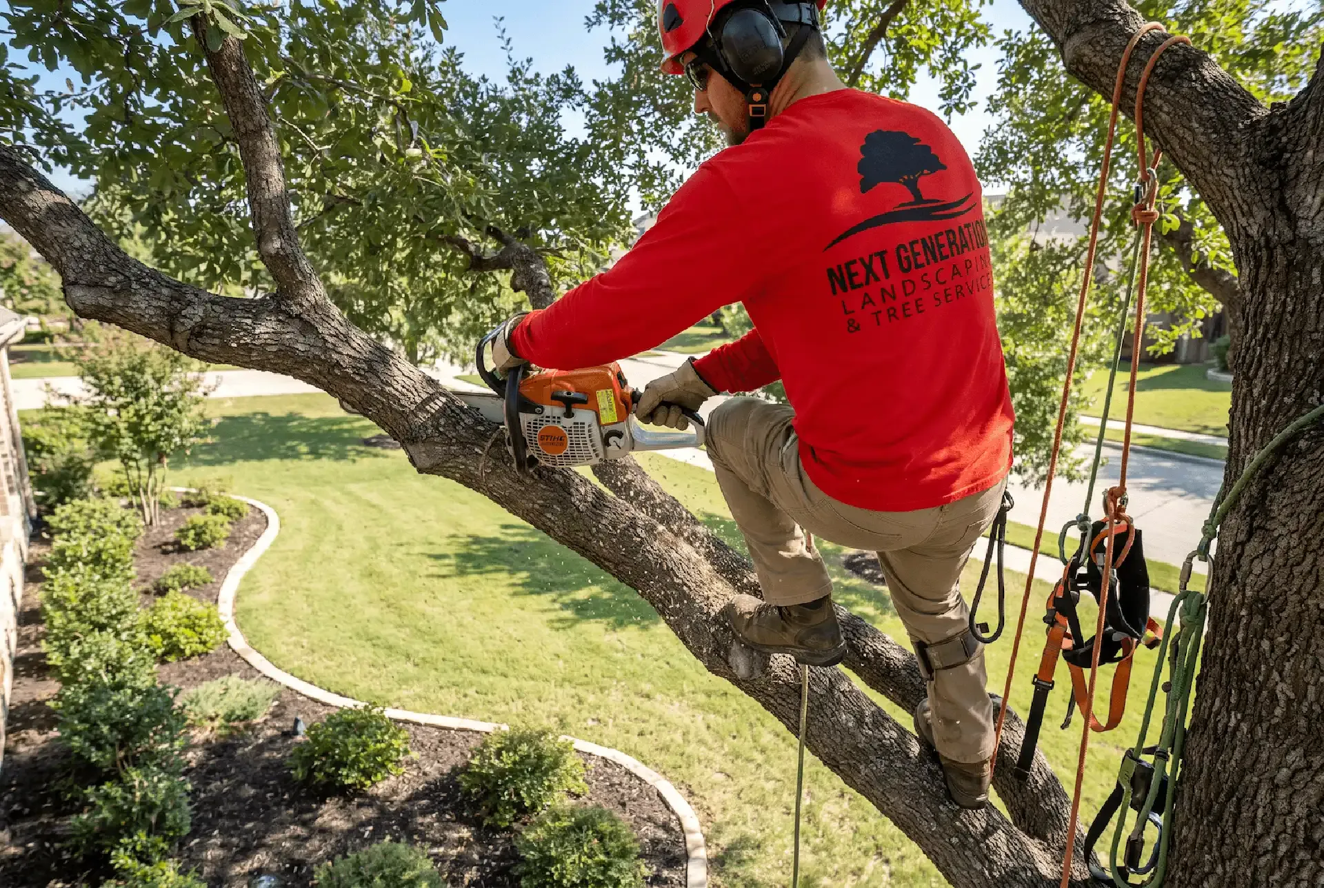 Tree Services