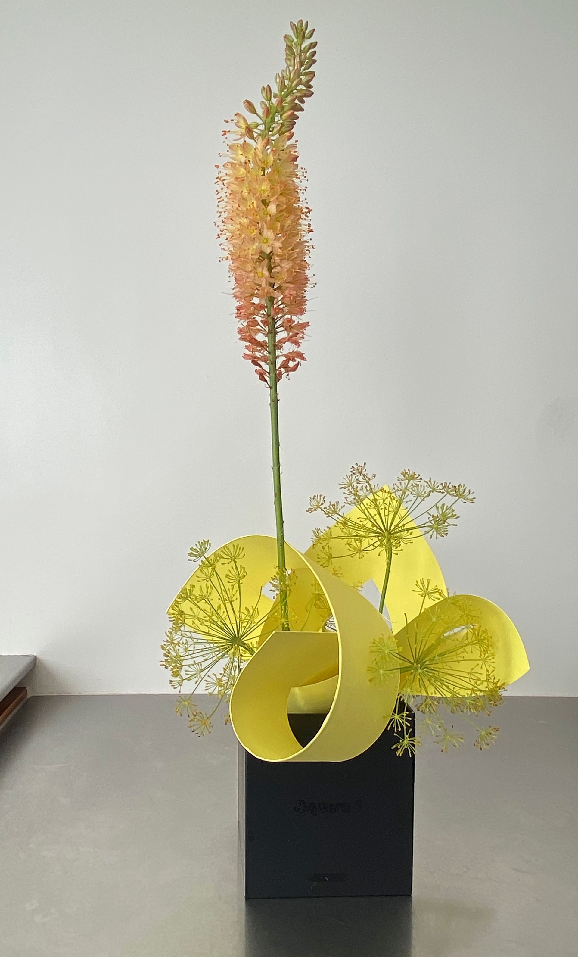 Bloemstuk in een zwarte kubusvaas: een hoge perzikkleurige bloem, gele gebogen bladeren en delicate groene accenten.