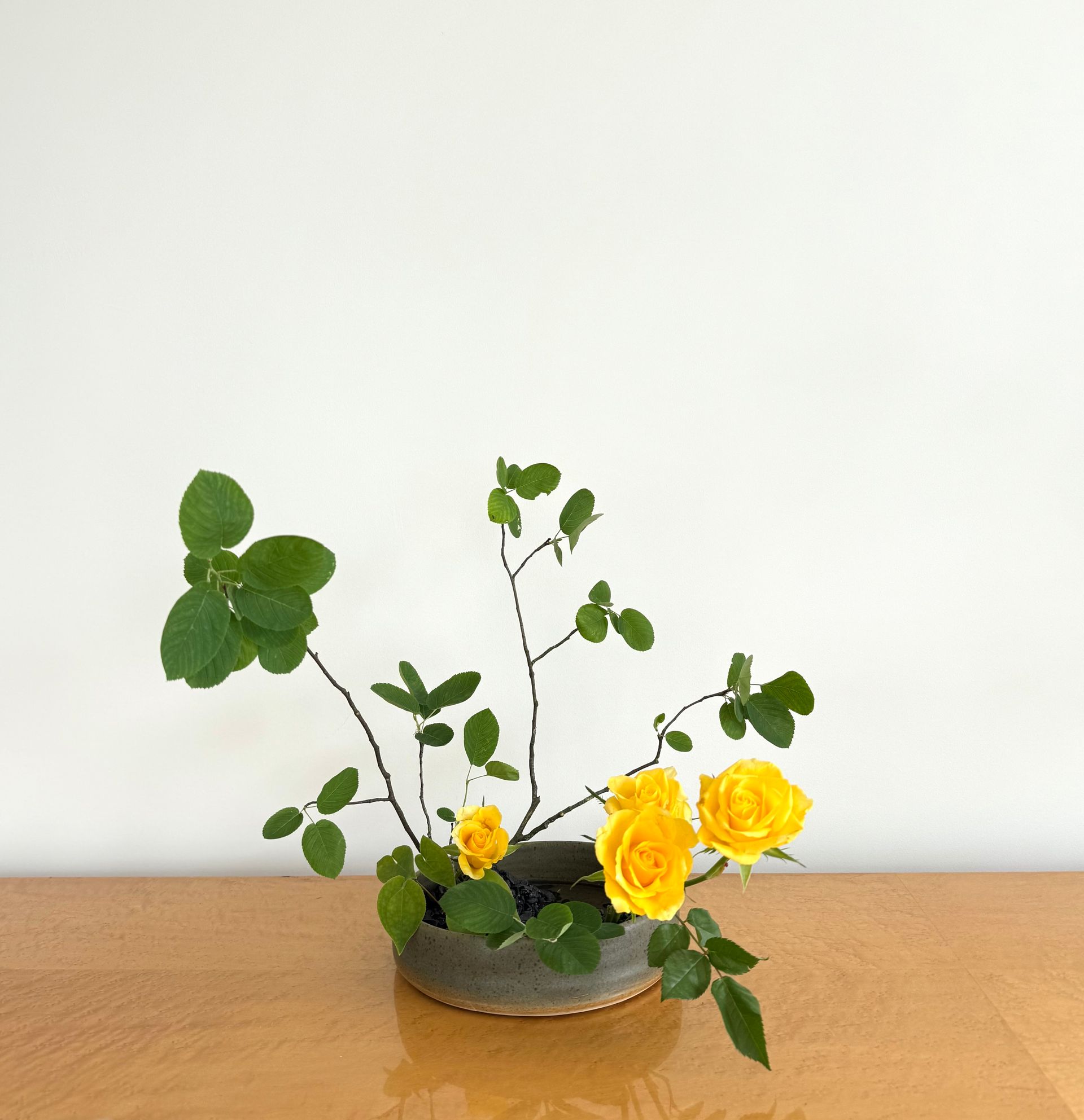 Ikebana-arrangement: gele rozen, bladerrijke takken in een lage, grijze keramische vaas op een houten ondergrond, witte achtergrond.