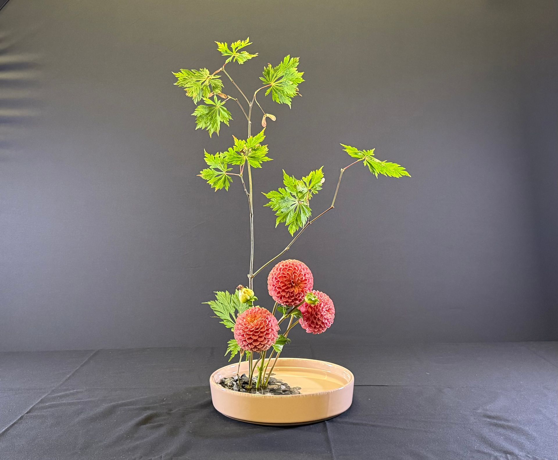 Bloemstuk met rode dahlia's en groene bladeren in een ondiepe, beige schaal.