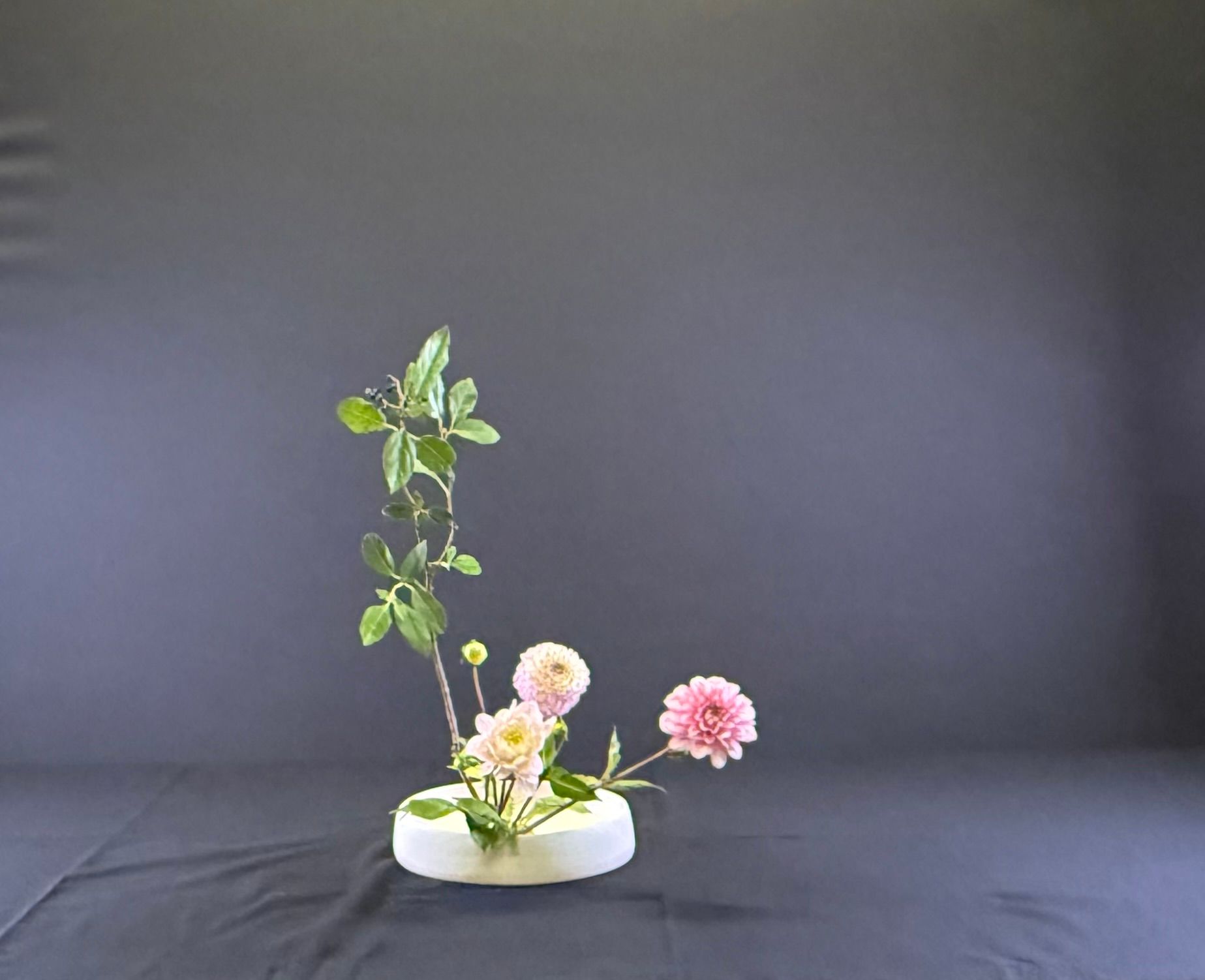 Bloemstuk: roze dahlia's en andere bloemen in een witte schaal, met groen blad op een donkere achtergrond.