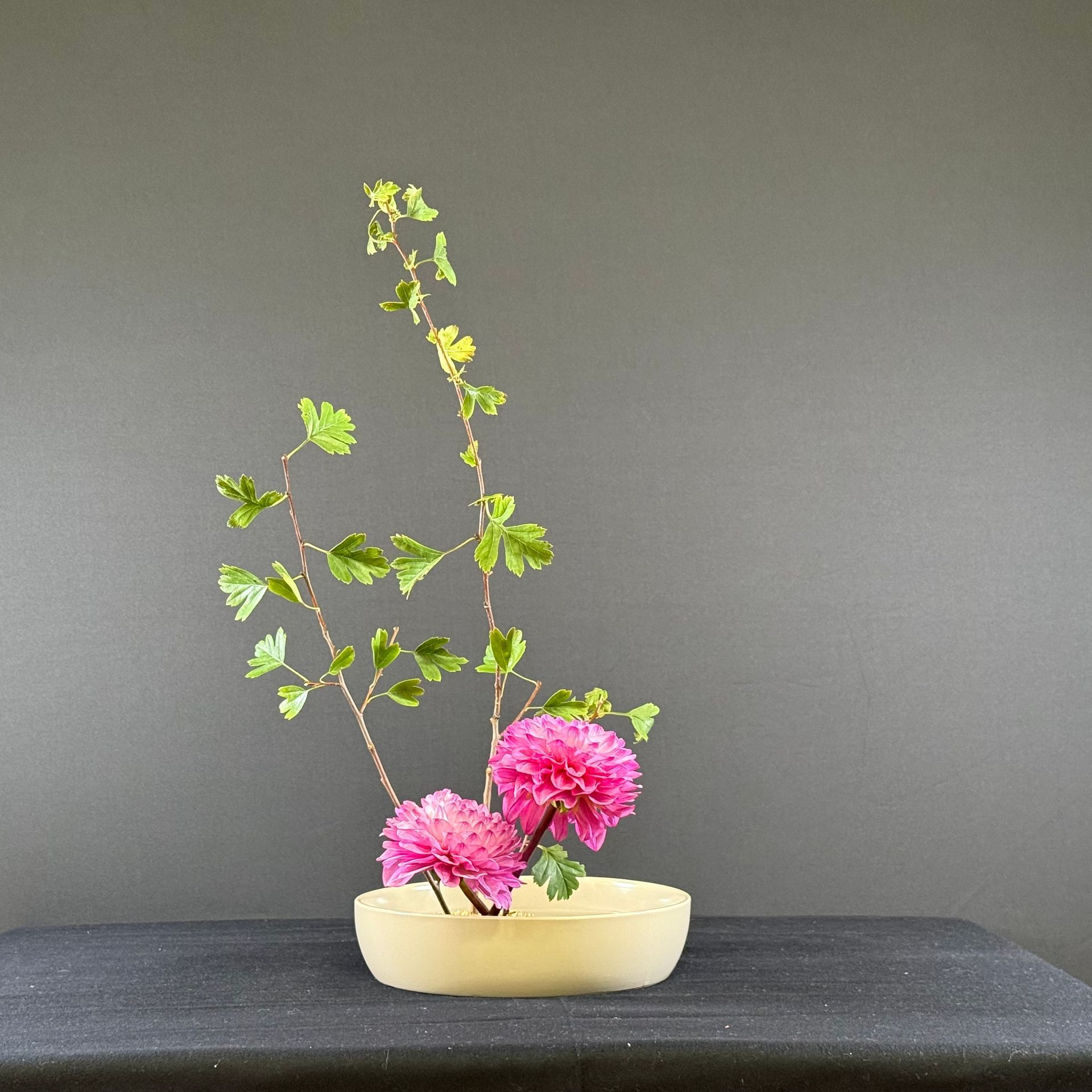 Bloemstuk met roze bloemen, groene ranken en een crèmekleurige schaal tegen een grijze achtergrond.