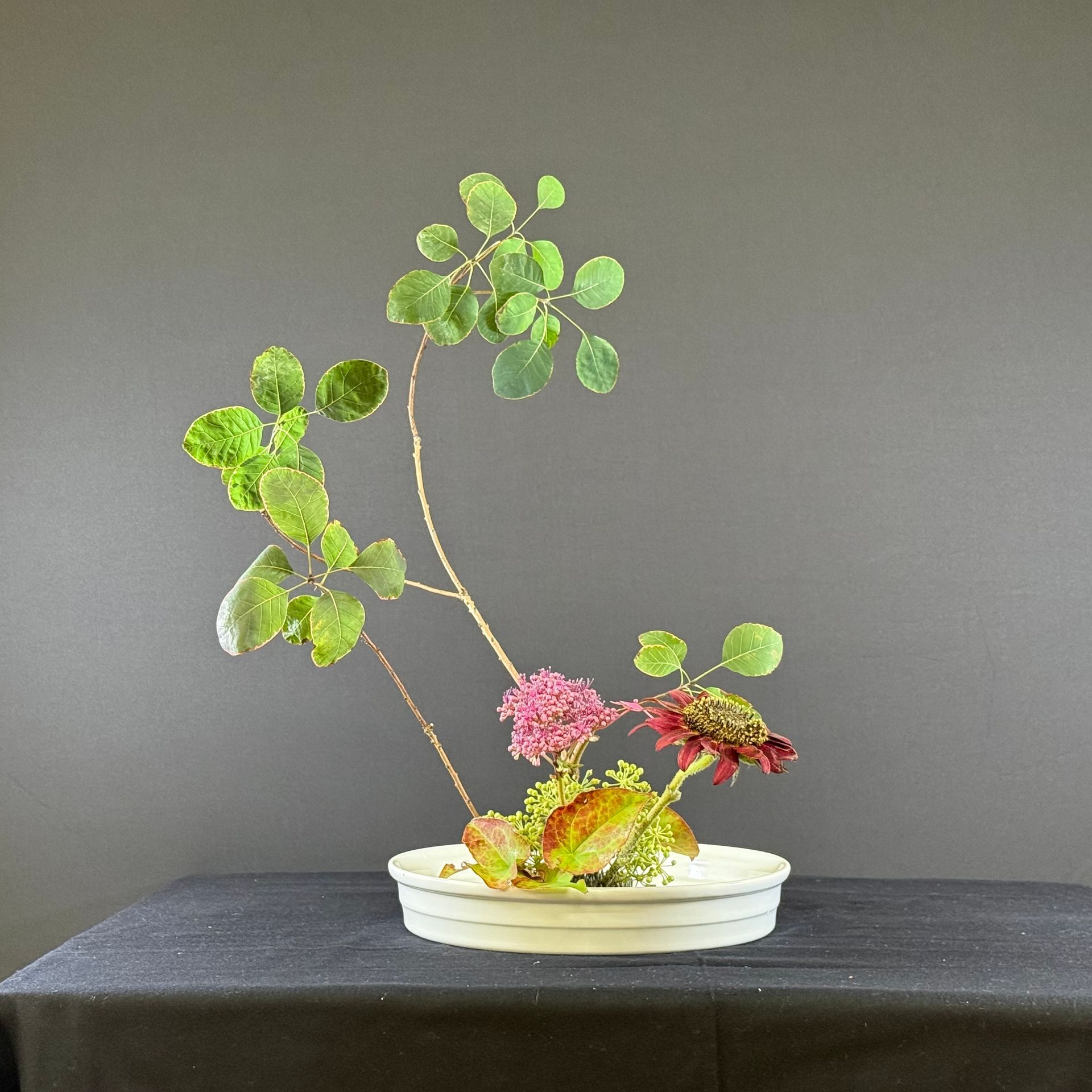 Bloemstuk in een witte schaal, met groene bladeren, roze bloemen en een donkere achtergrond.