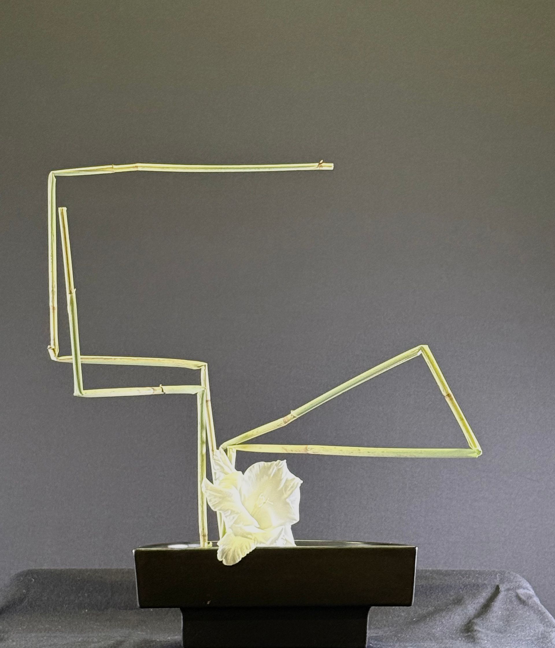 Abstracte bloemschikking met geometrisch metalen frame, witte bloemcluster en donkere rechthoekige basis.