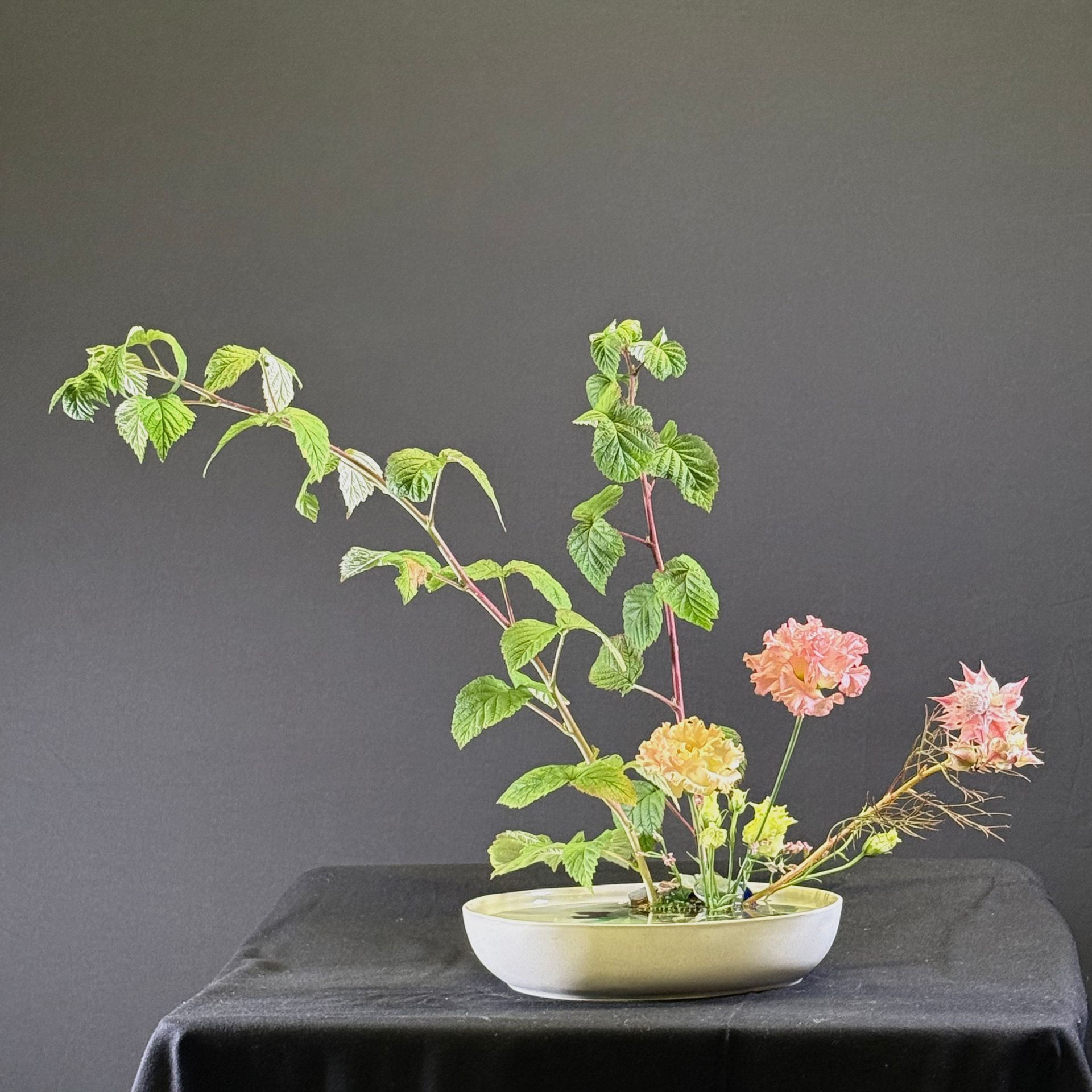 Ikebana bloemstuk: Rozenbloesems en bladerrijke takken in een witte schaal, tegen een donkere achtergrond.