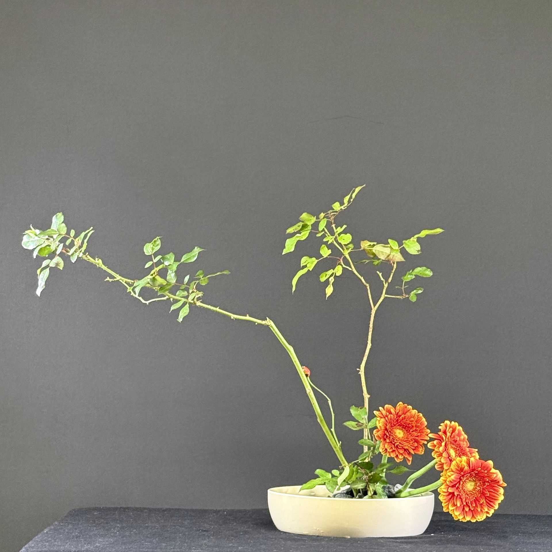 Bloemstuk in een witte schaal. Oranje chrysanten en bladerrijke takken tegen een grijze achtergrond.