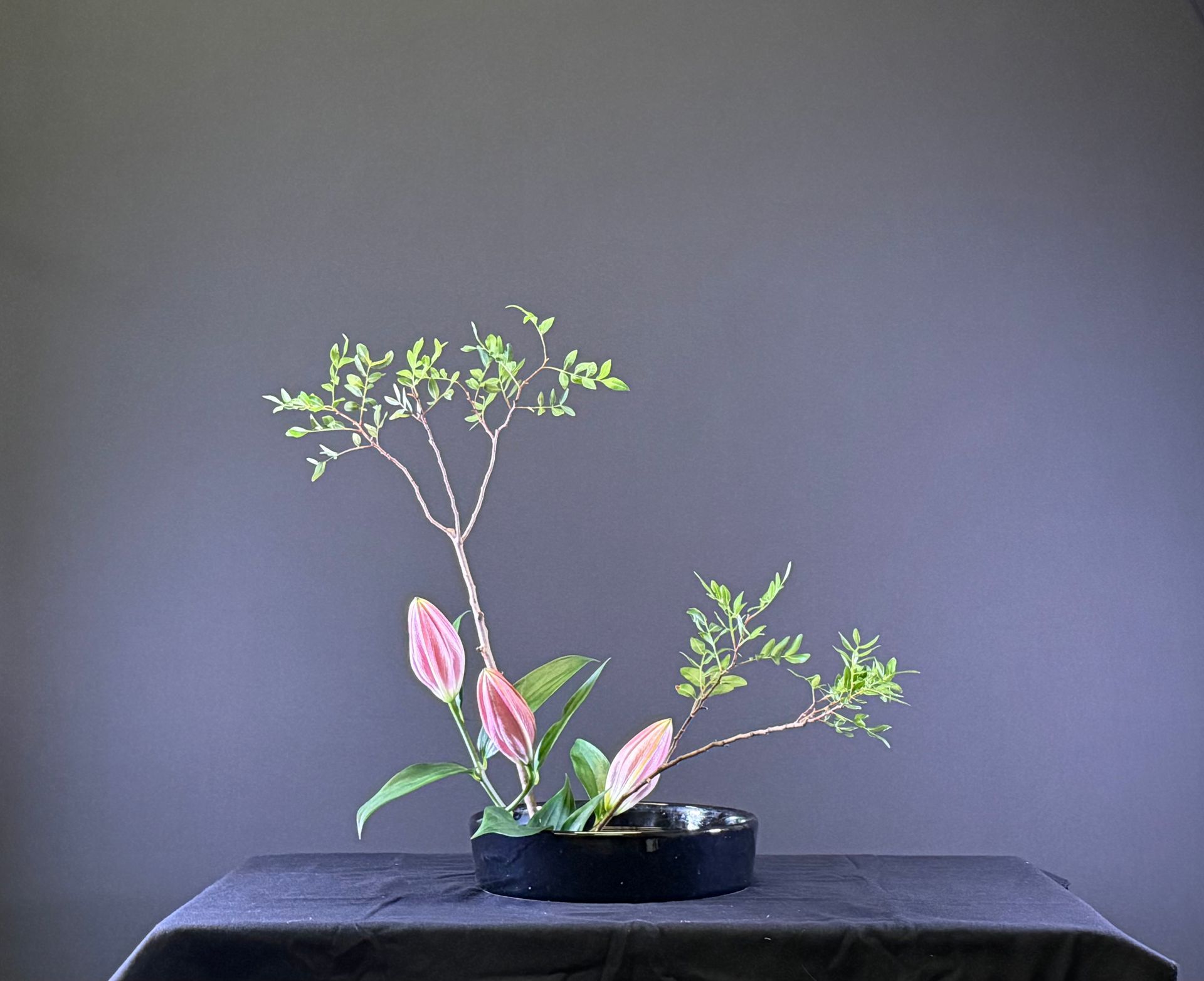 Ikebana bloemstuk in een zwarte schaal. Roze anthuriums, groene bladeren en takjes met kleine groene blaadjes.