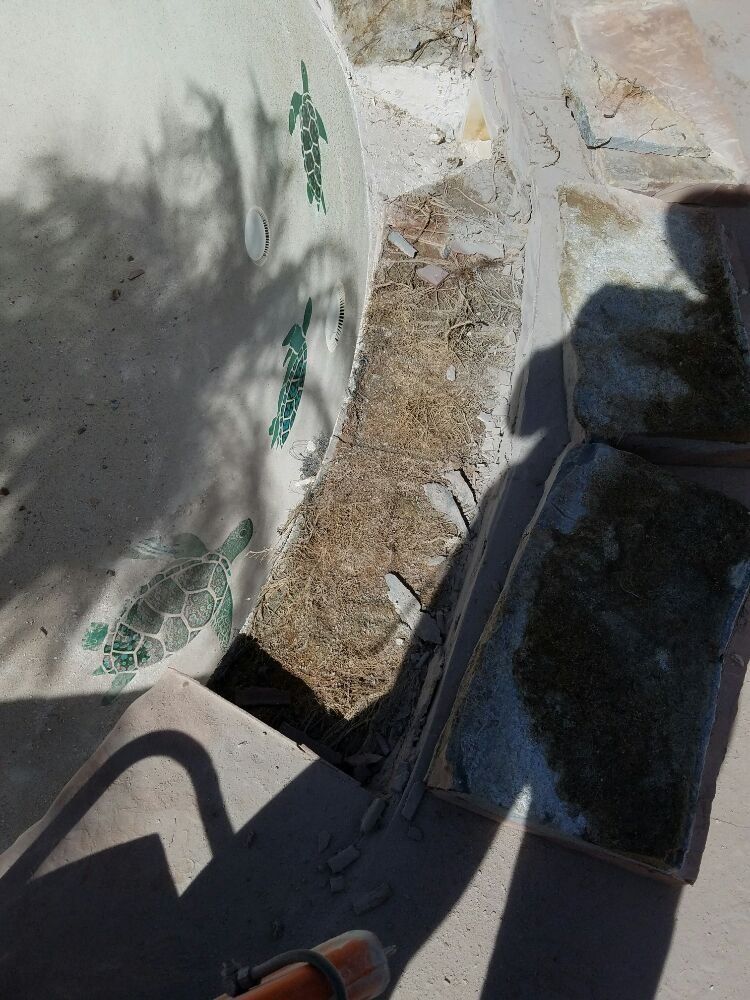 Close-up of a torn white tarp and black bag beside a rough stone wall in sunlight