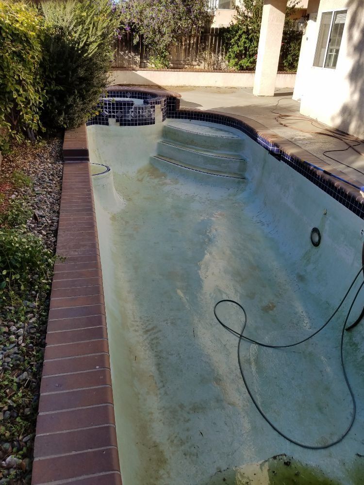 Empty backyard swimming pool with debris and a hose lying in shallow water