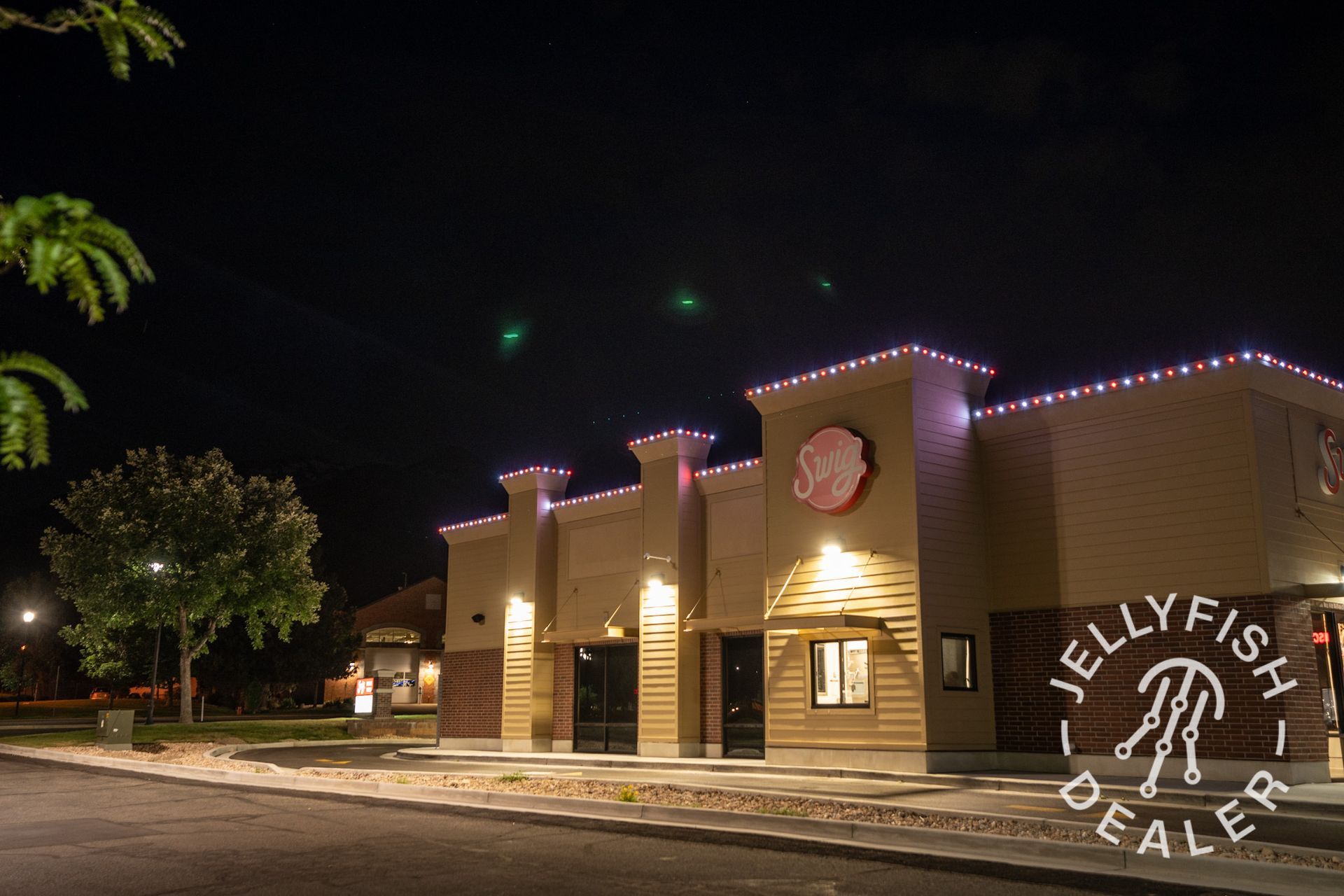A jellyfish dealer store is lit up at night