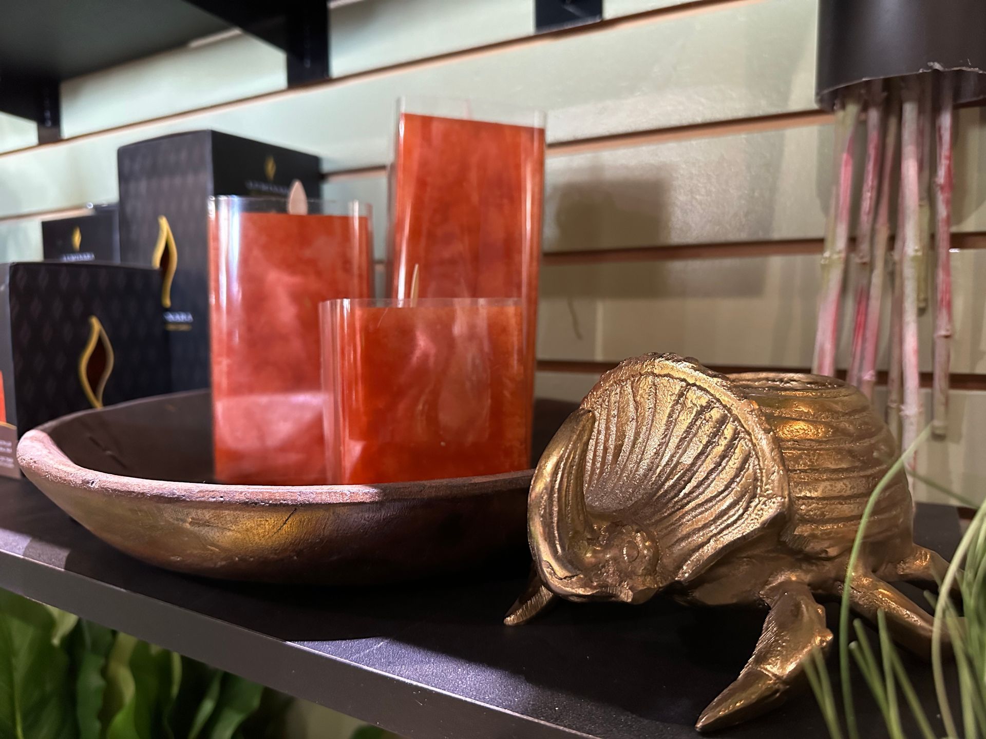 A display of candles and a turtle on a shelf