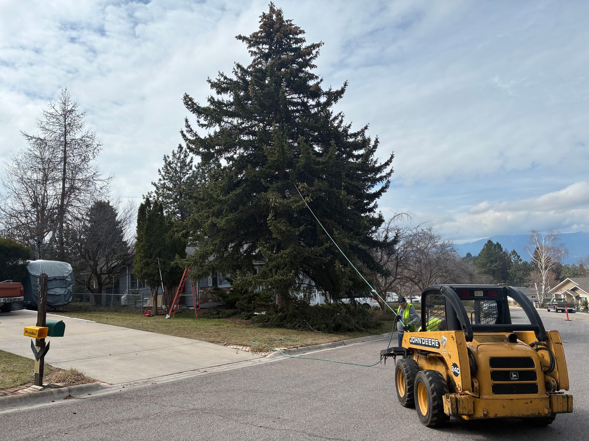 Yellow utility vehicle near a large evergreen tree in a suburban driveway or park area