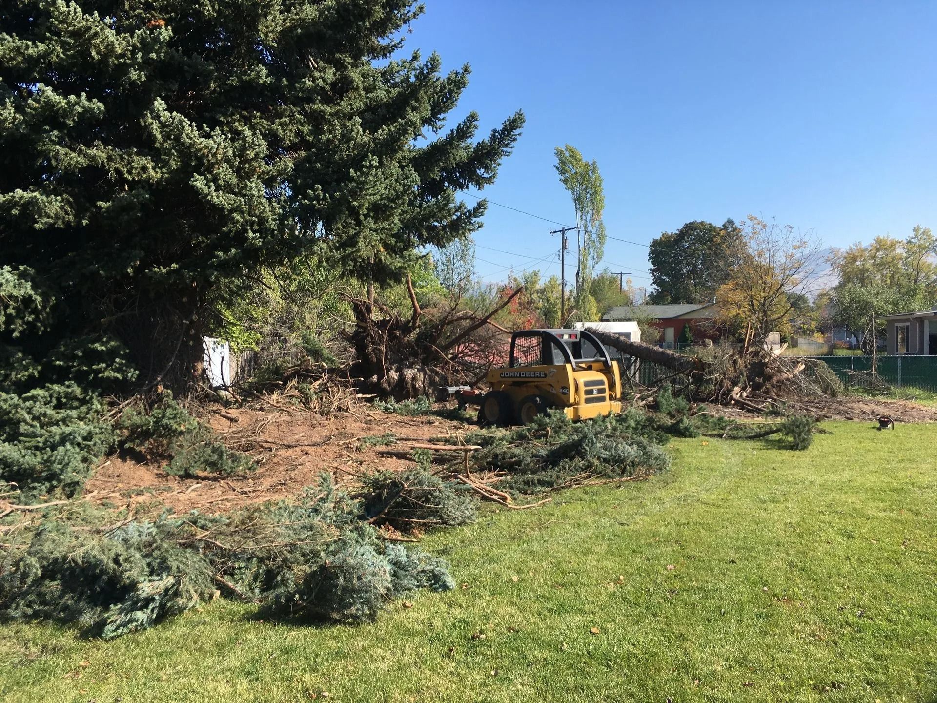 Small yellow skid steer clearing brush beside a grassy yard and trees under a blue sky
