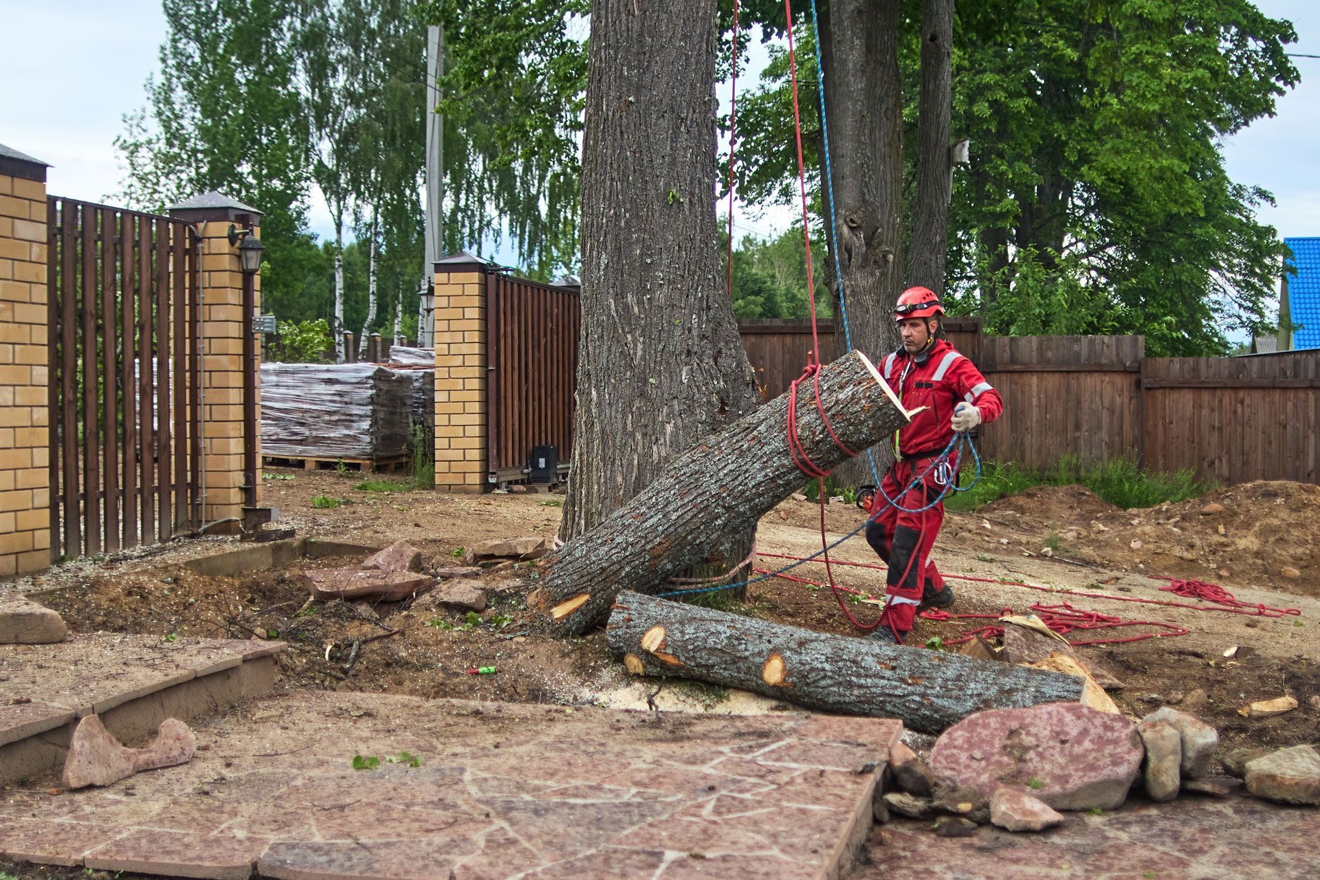 Worker in red safety gear near a fallen tree trunk and logs in a fenced outdoor area