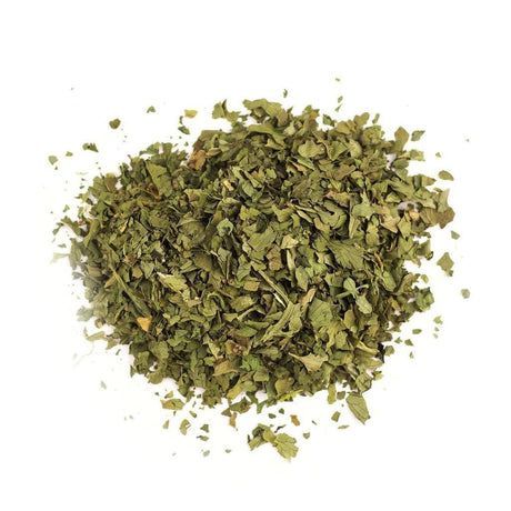 Cilantro