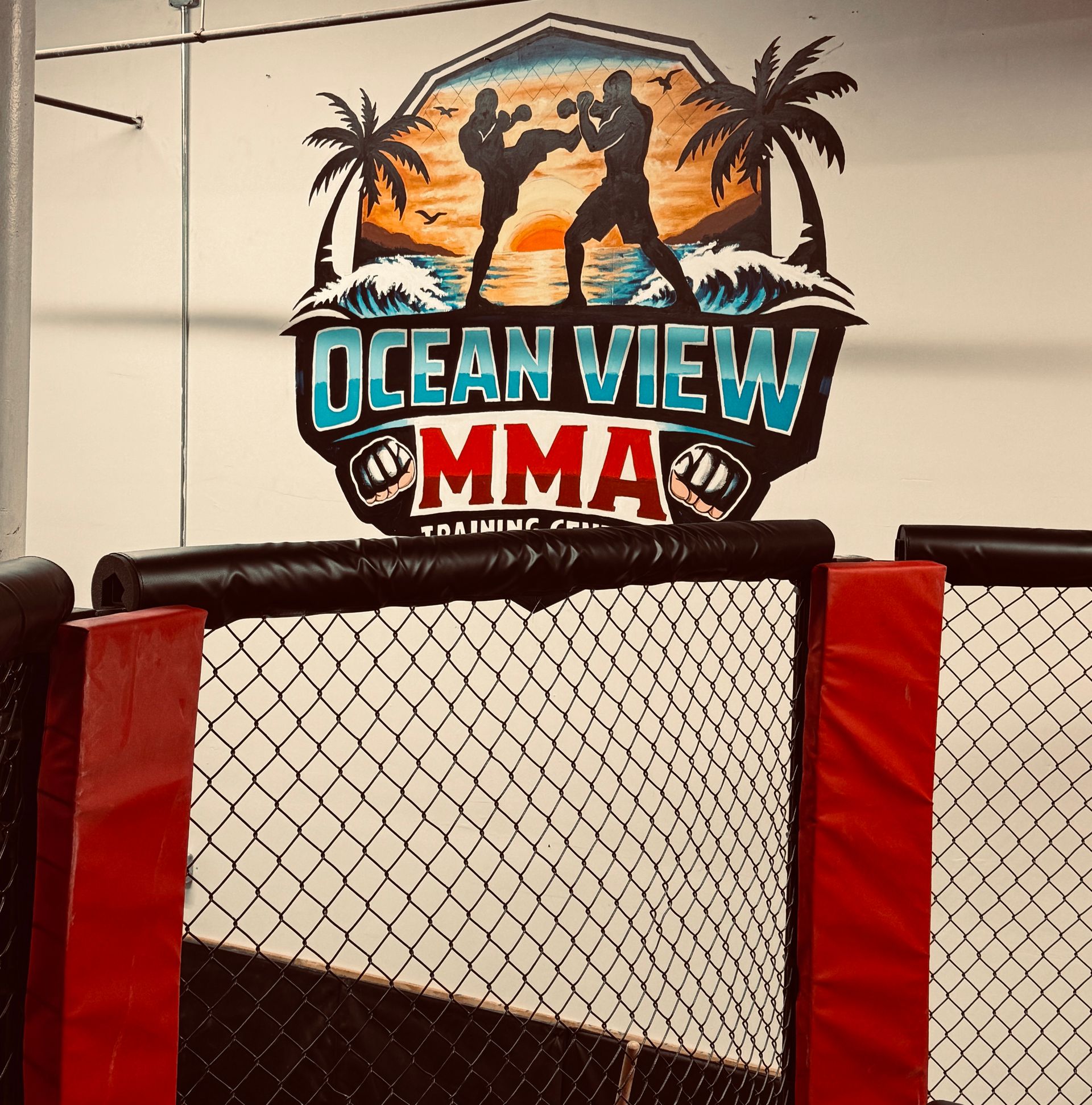 MMA