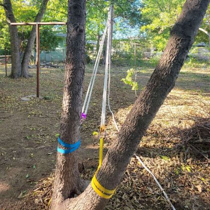 Tree Care & Removal Experts | San Antonio, TX | Steel Roots