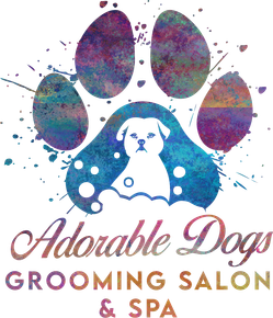 Adorable Dogs Grooming Salon
