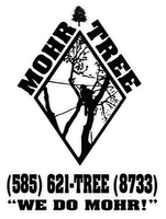 Mohr Tree logo with tree graphic, phone number (585) 621-TREE, and slogan &ldquo;We Do Mohr!&rdquo;