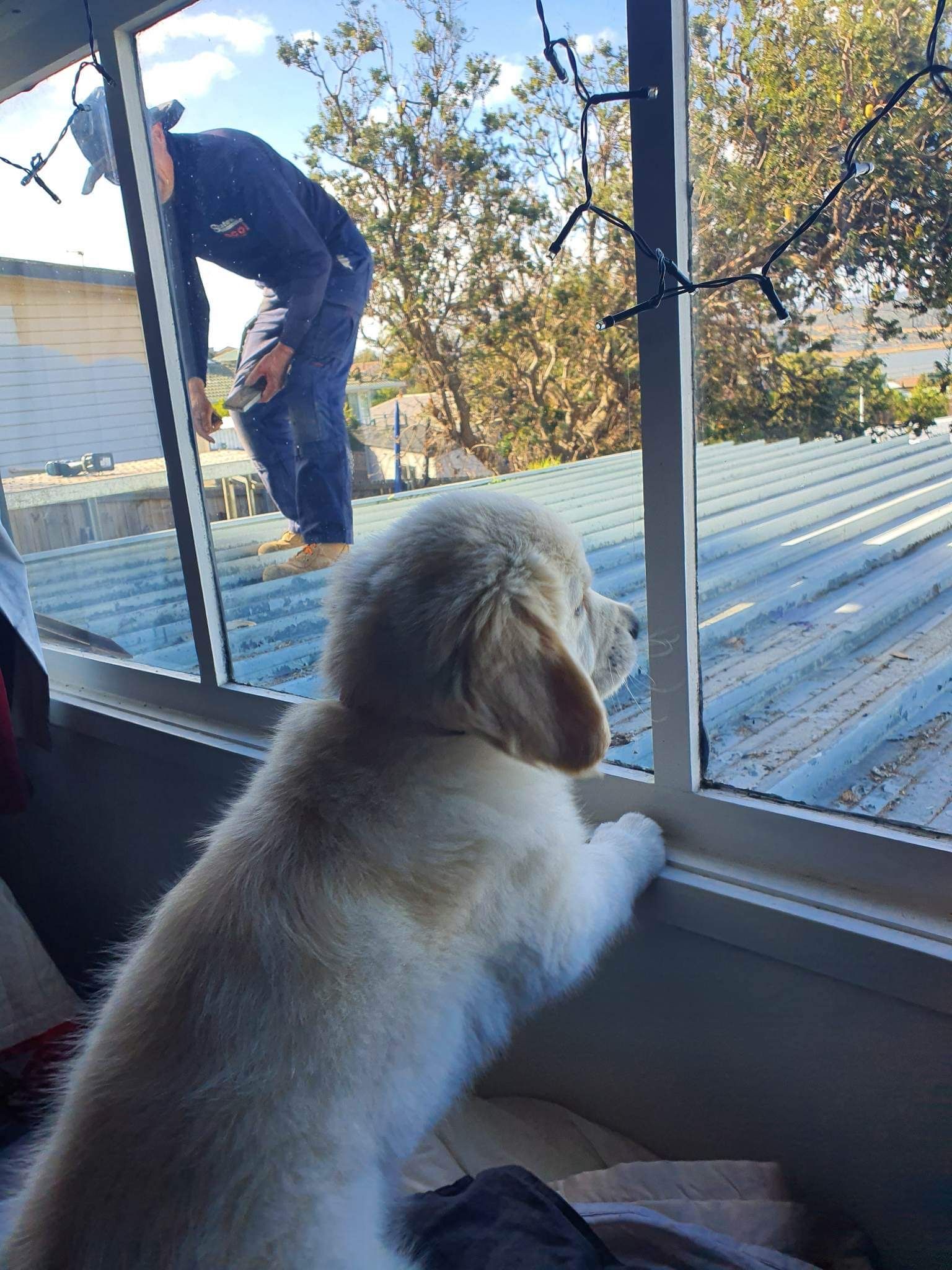 Roof Products Hobart TAS Statewide Skylights