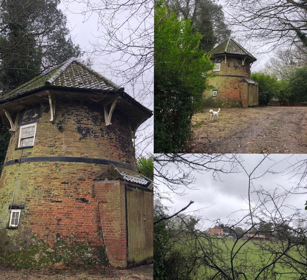 WTDesign Blog - Breaking Ground at the Mill, Ludham