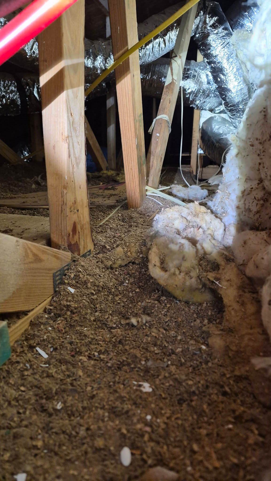 Wooden attic crawlspace with exposed beams, insulation, and a dirt-covered floor covered in debris.