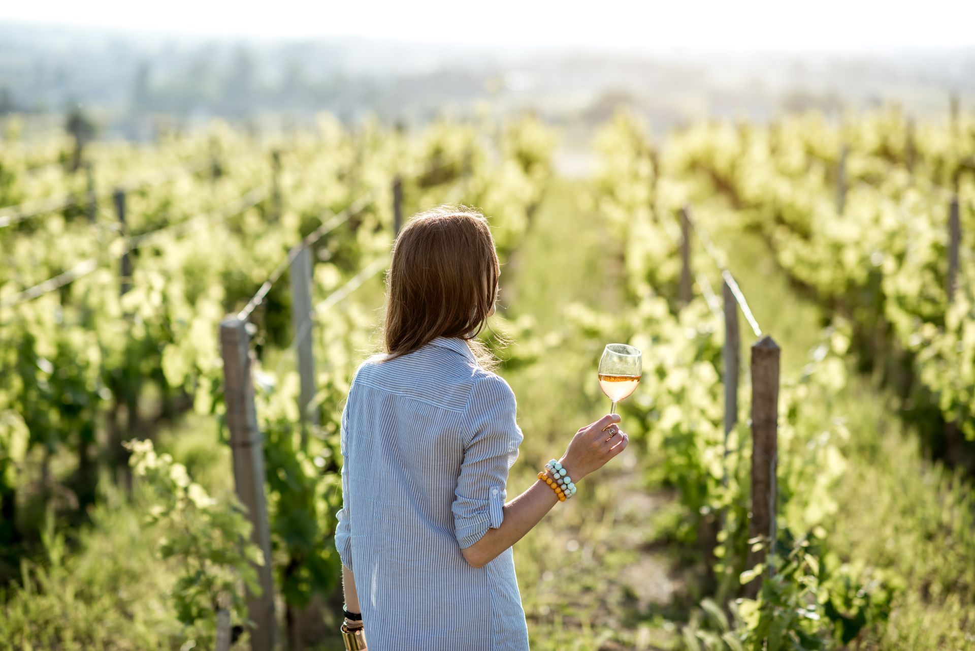 A woman is holding a glass of wine in a vineyard.