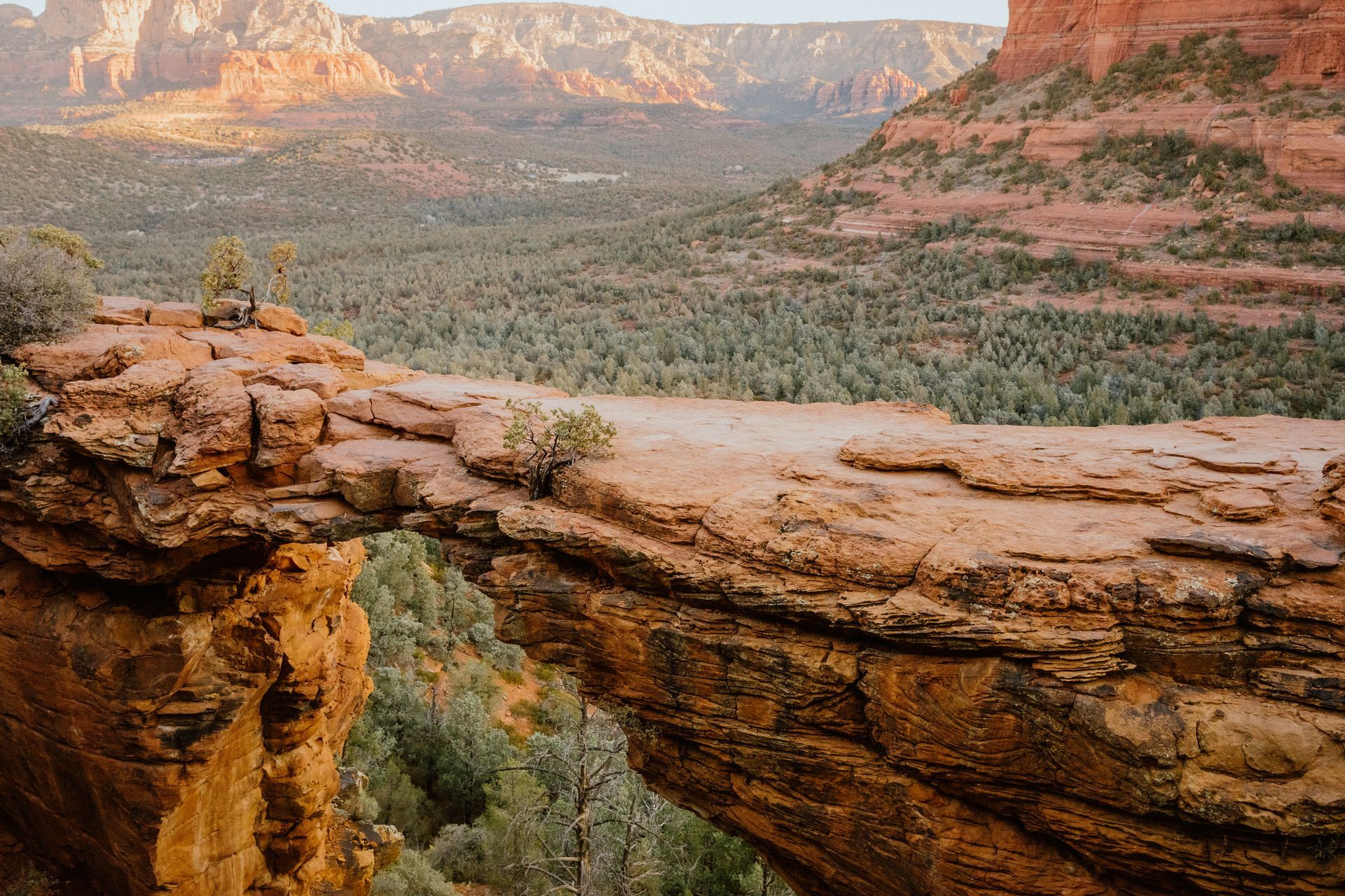 A bridge over a cliff in the middle of a desert.