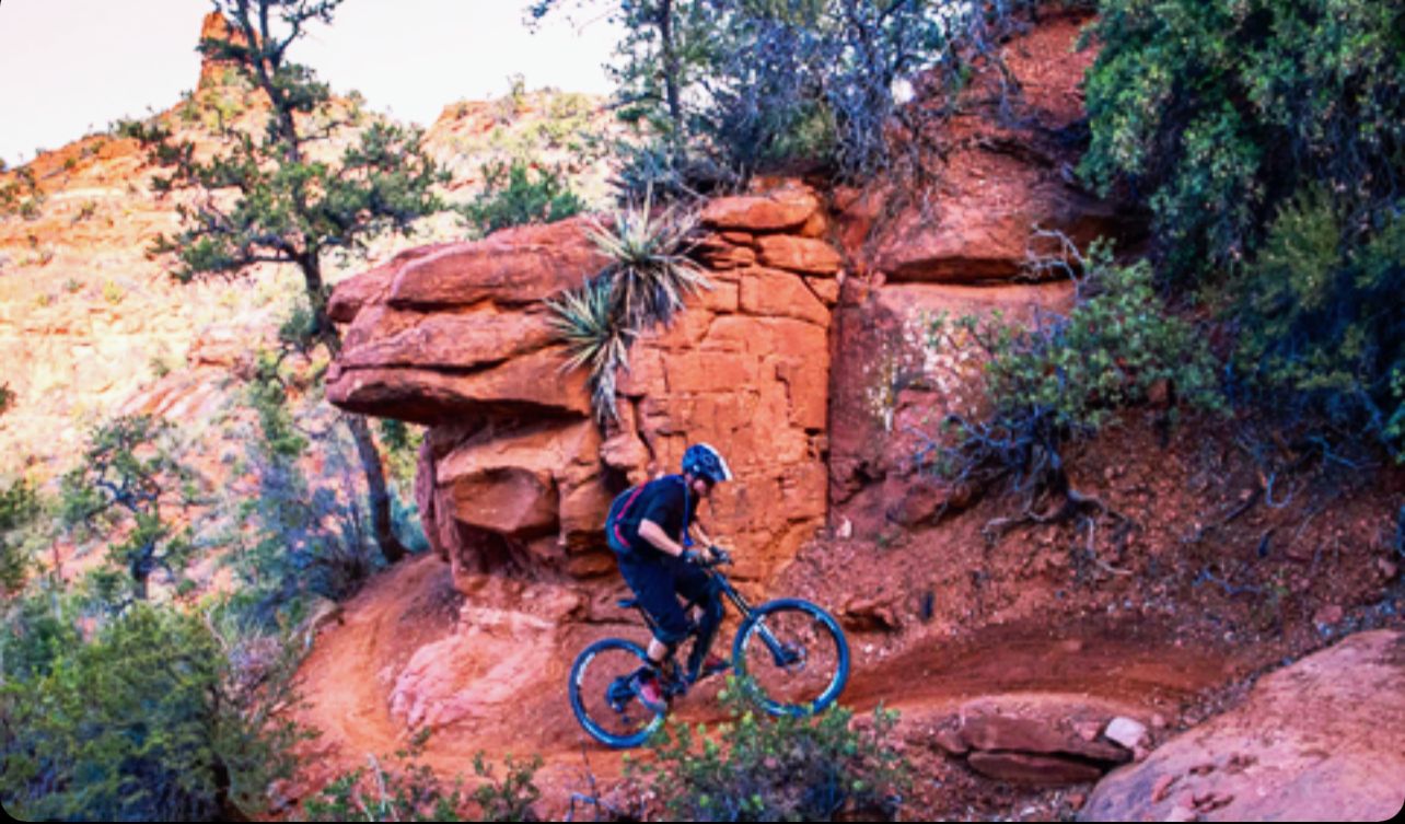 A man is riding a bike on a trail in the woods.