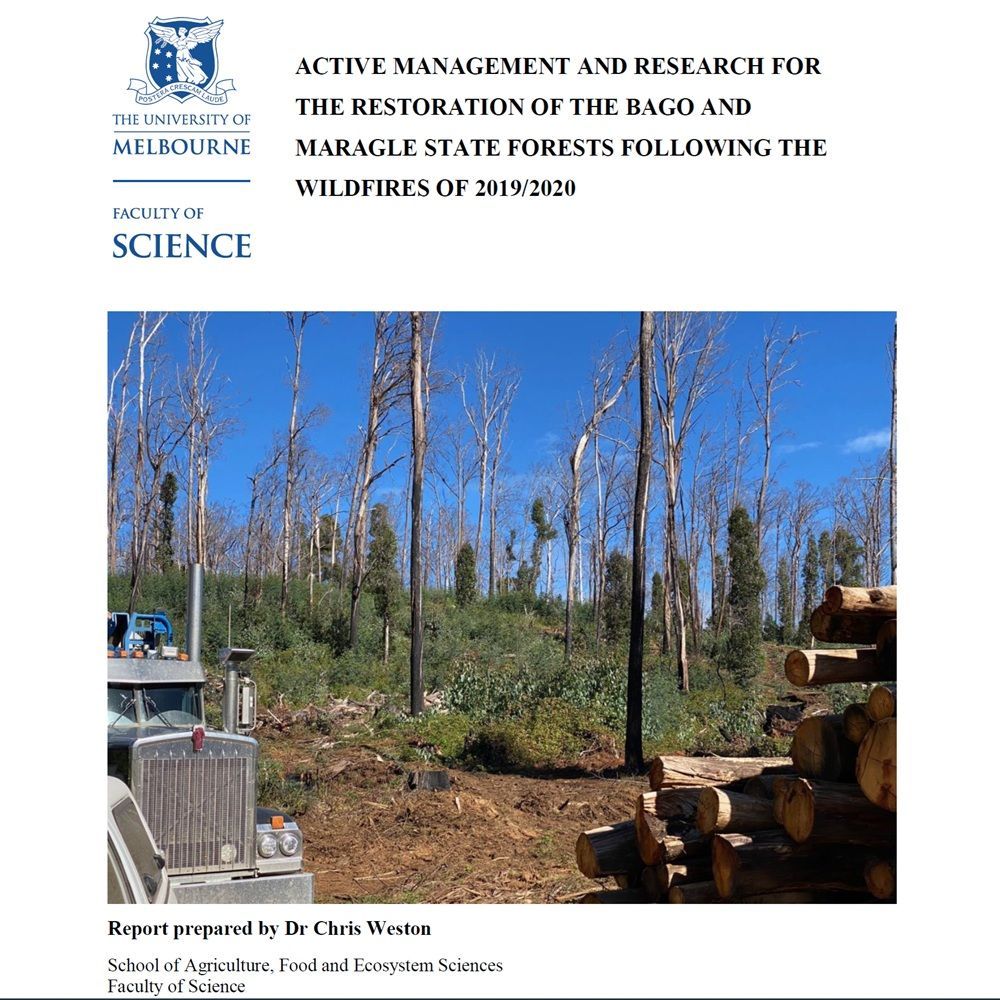 Active Management and Research for the Restoration of the Bago and Maragle State Forests follwing the Wildfires of 2019/2020
