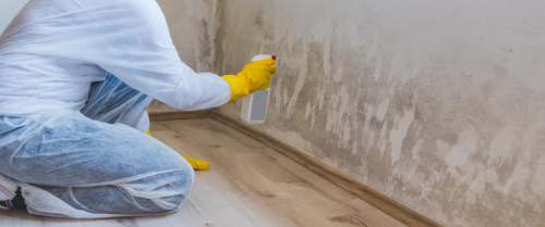 Worker in white protective suit spraying liquid along a moldy wall edge indoors
