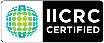 A rectangular logo featuring a sphere of green and blue dots next to the text