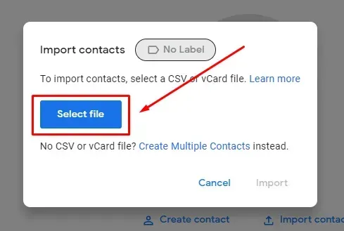 selecting the CSV file for uploading