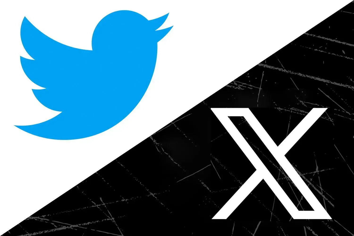 Twitter logo becomes X logo