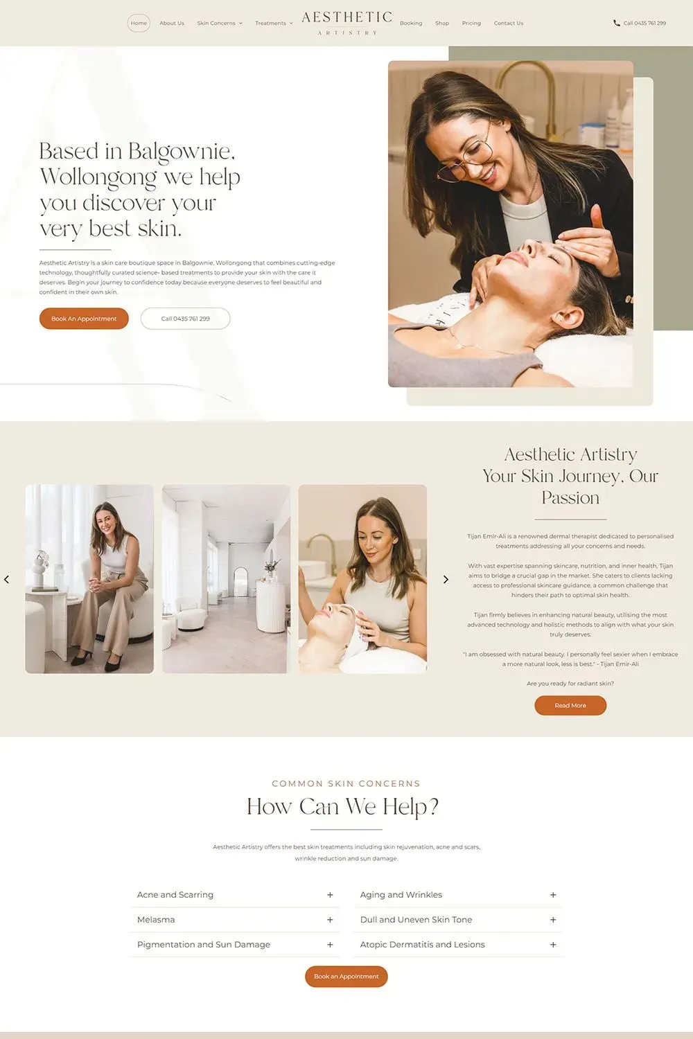 Aesthetic Artistry home page preview