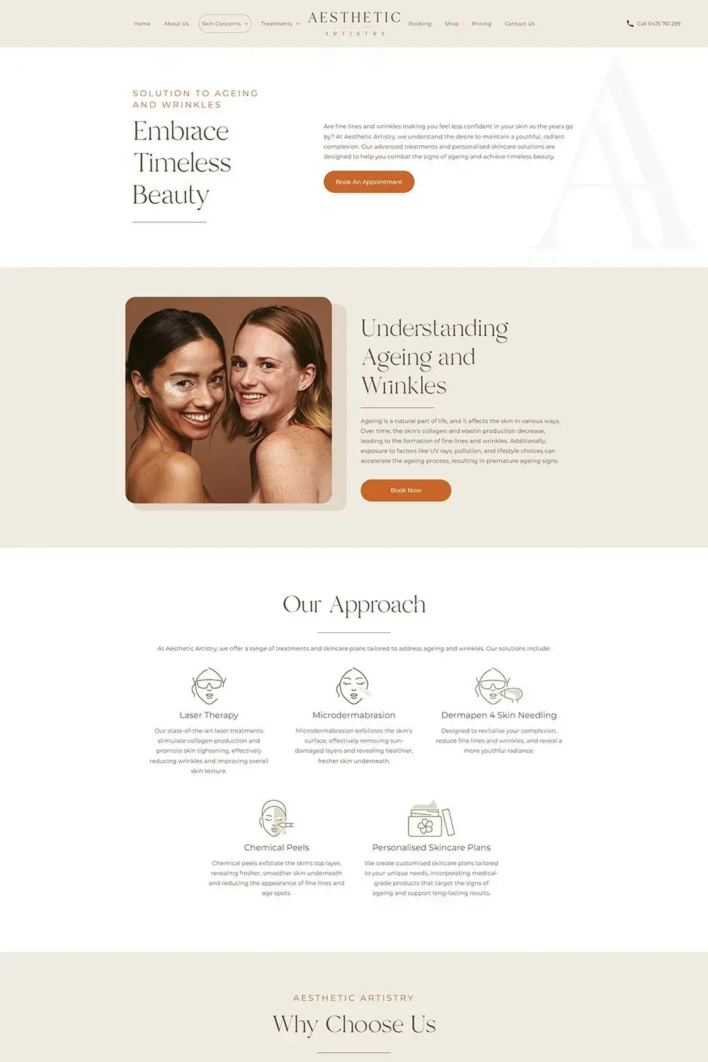 Aesthetic Artistry internal page preview #3