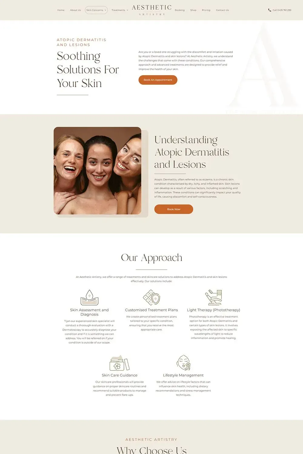 Aesthetic Artistry internal page preview #4