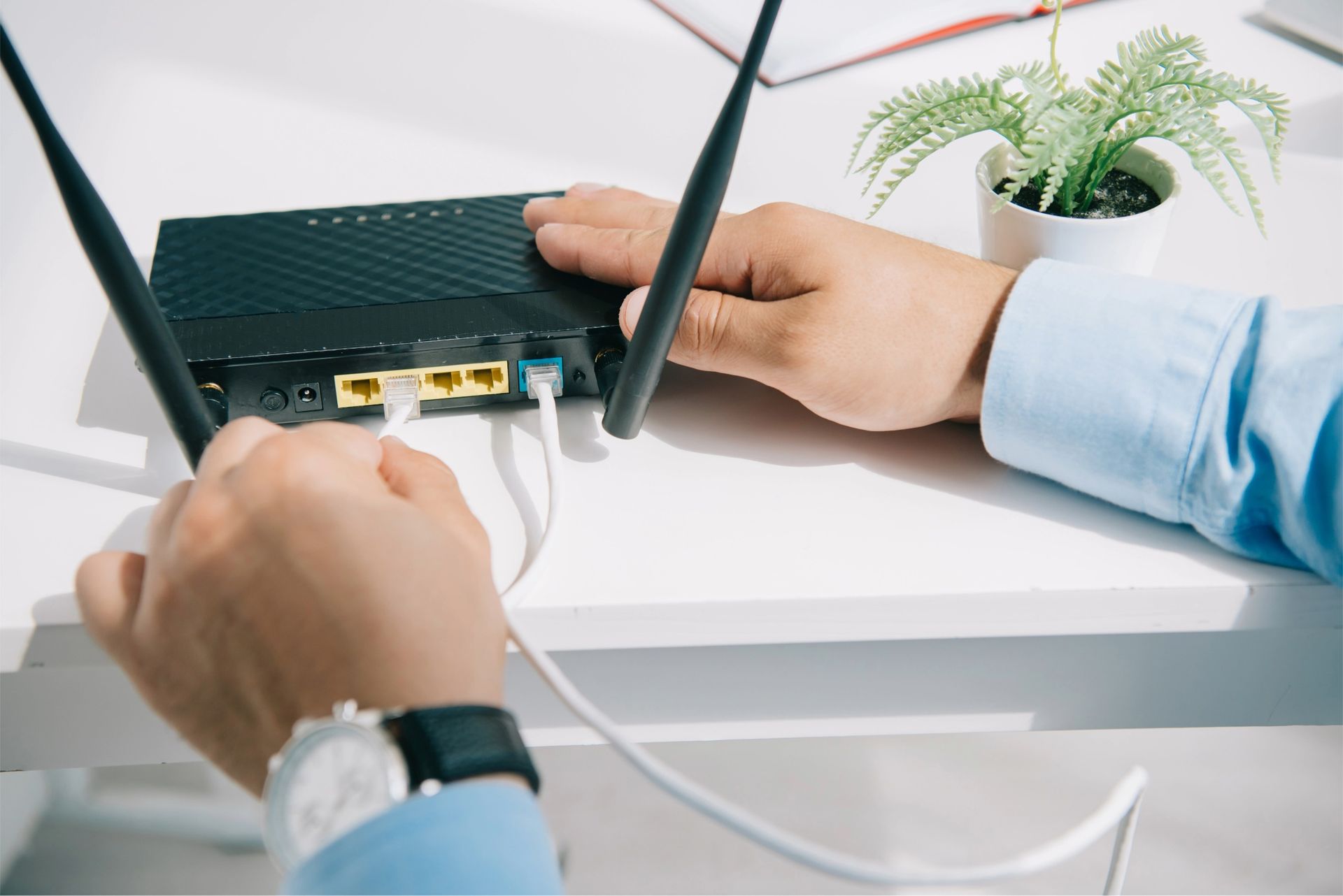 Hands connecting white cable to a black router with two antennas. A desk with a small plant is in the background.