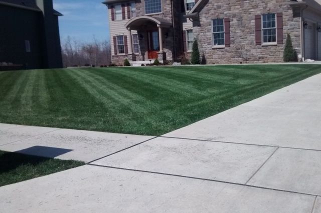 Mike Sinatra Landscaping, LLC 12
