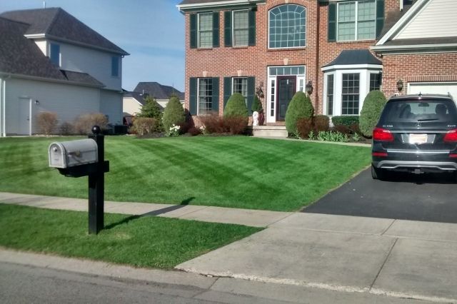Mike Sinatra Landscaping, LLC 14