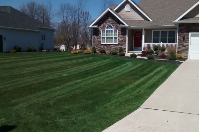 Mike Sinatra Landscaping, LLC 17